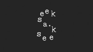 Seek-A-Seek